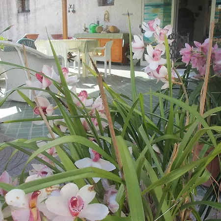 Aparthotel Marinù Forio di Ischia