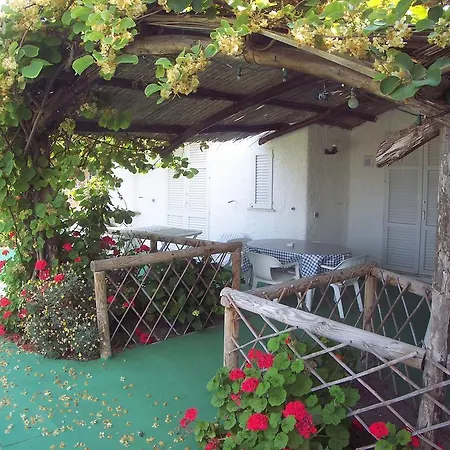 Marinù Forio di Ischia