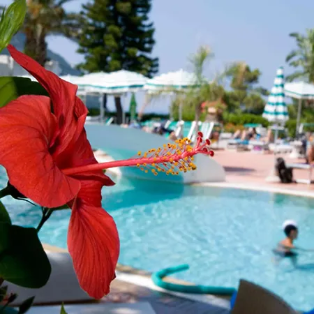 Marinù Aparthotel Forio di Ischia